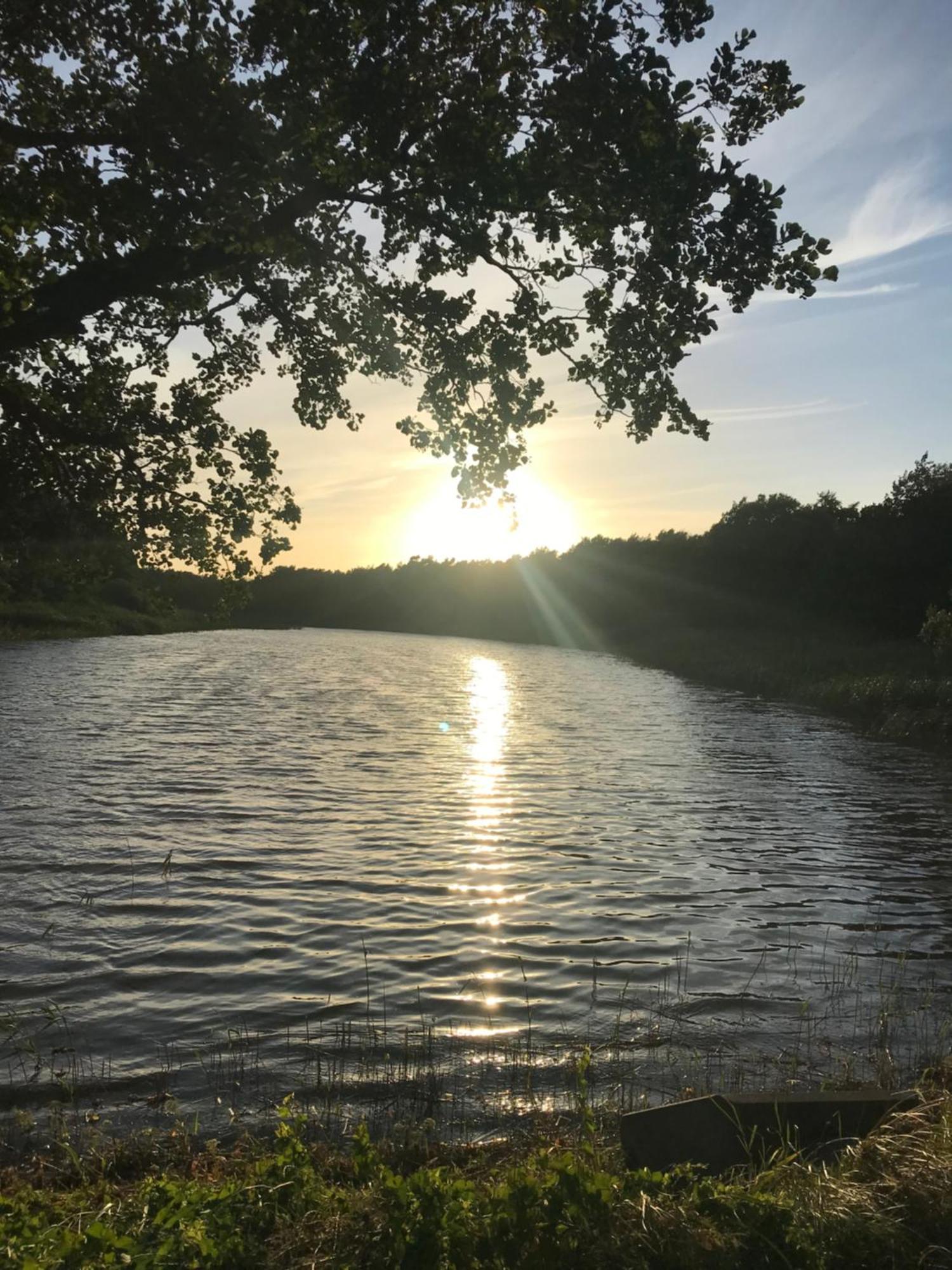 Appartamento Sonnenwind Prerow Esterno foto